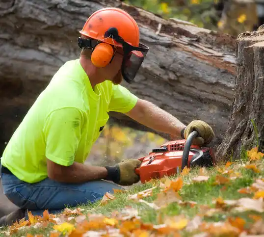 tree services Melwood